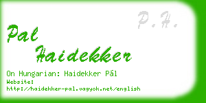 pal haidekker business card